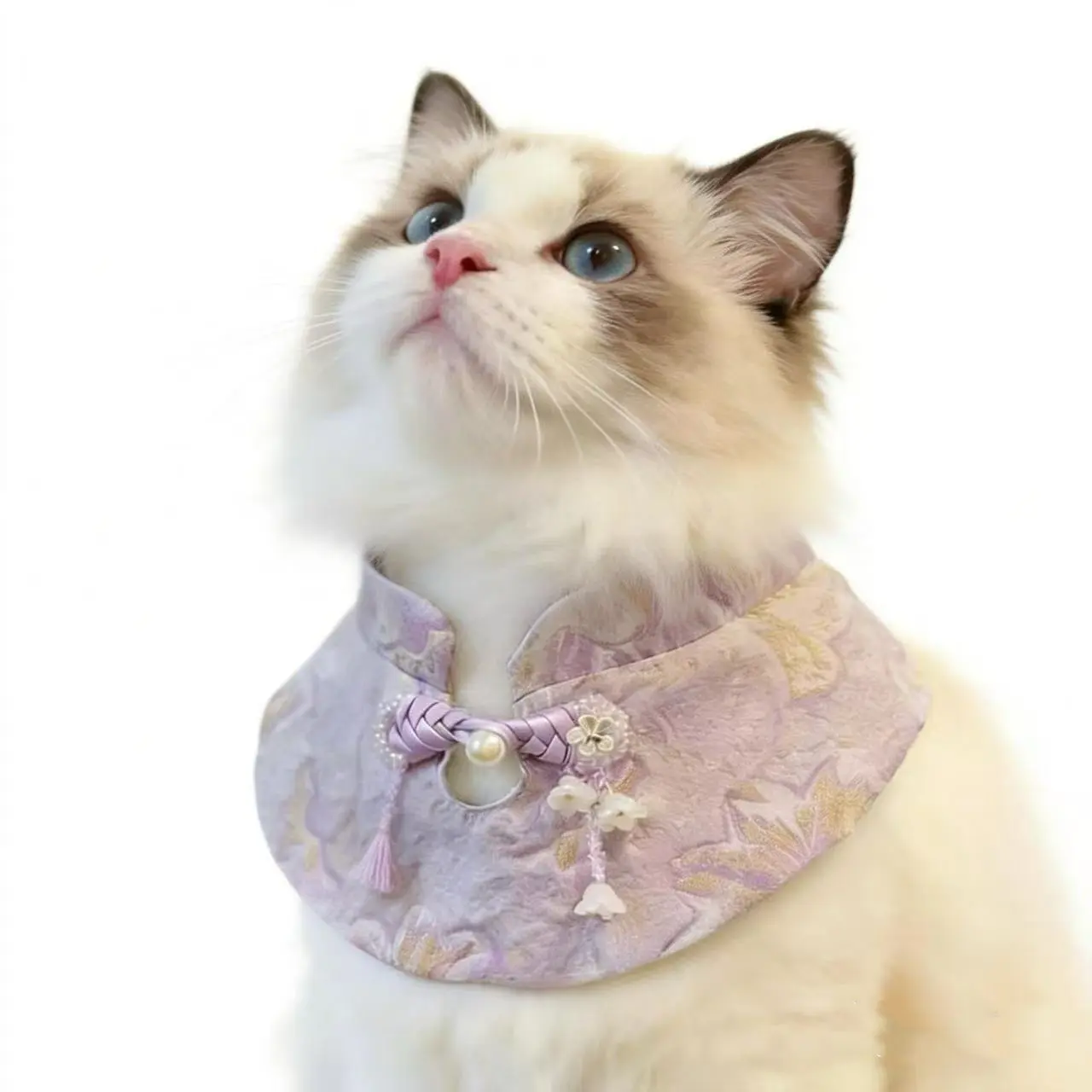 Cat wearing stand collar cloud collar, Easy On/Off, Decor Safety, ideal for holidays & photos