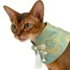 Model Display (Cuddl Pets Stand Collar Cloud Collar) (4) Abyssinian cat wearing cloud collar, Easy On/Off, ideal for holidays & photos
