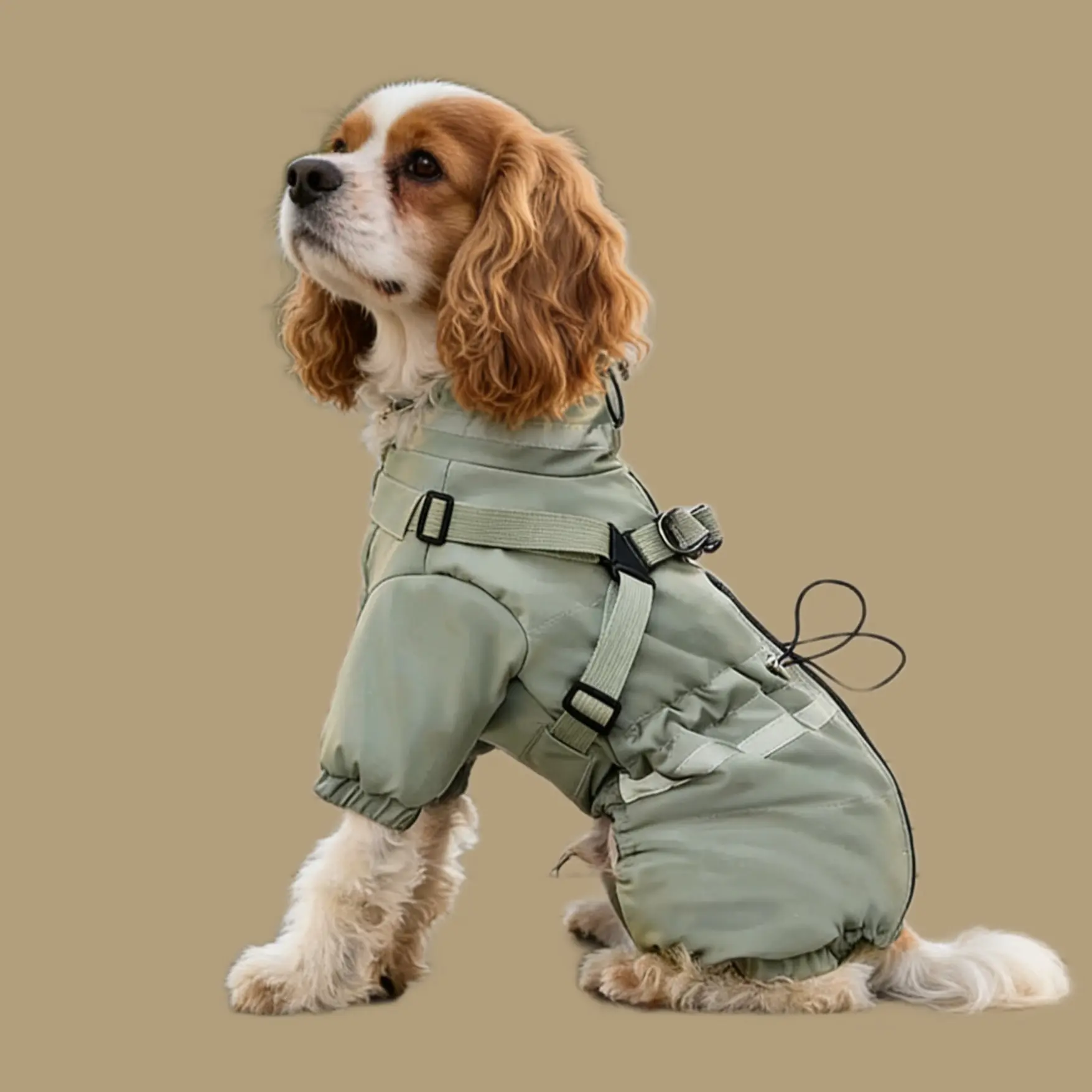 Dog wearing Bean green Waterproof Pet Coat
