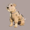 Dog wearing beige Waterproof Pet Coat