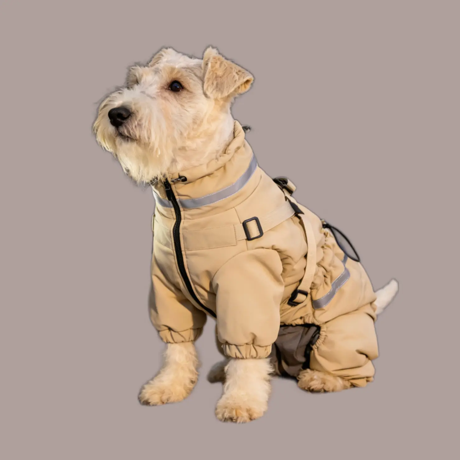 Dog wearing beige Waterproof Pet Coat