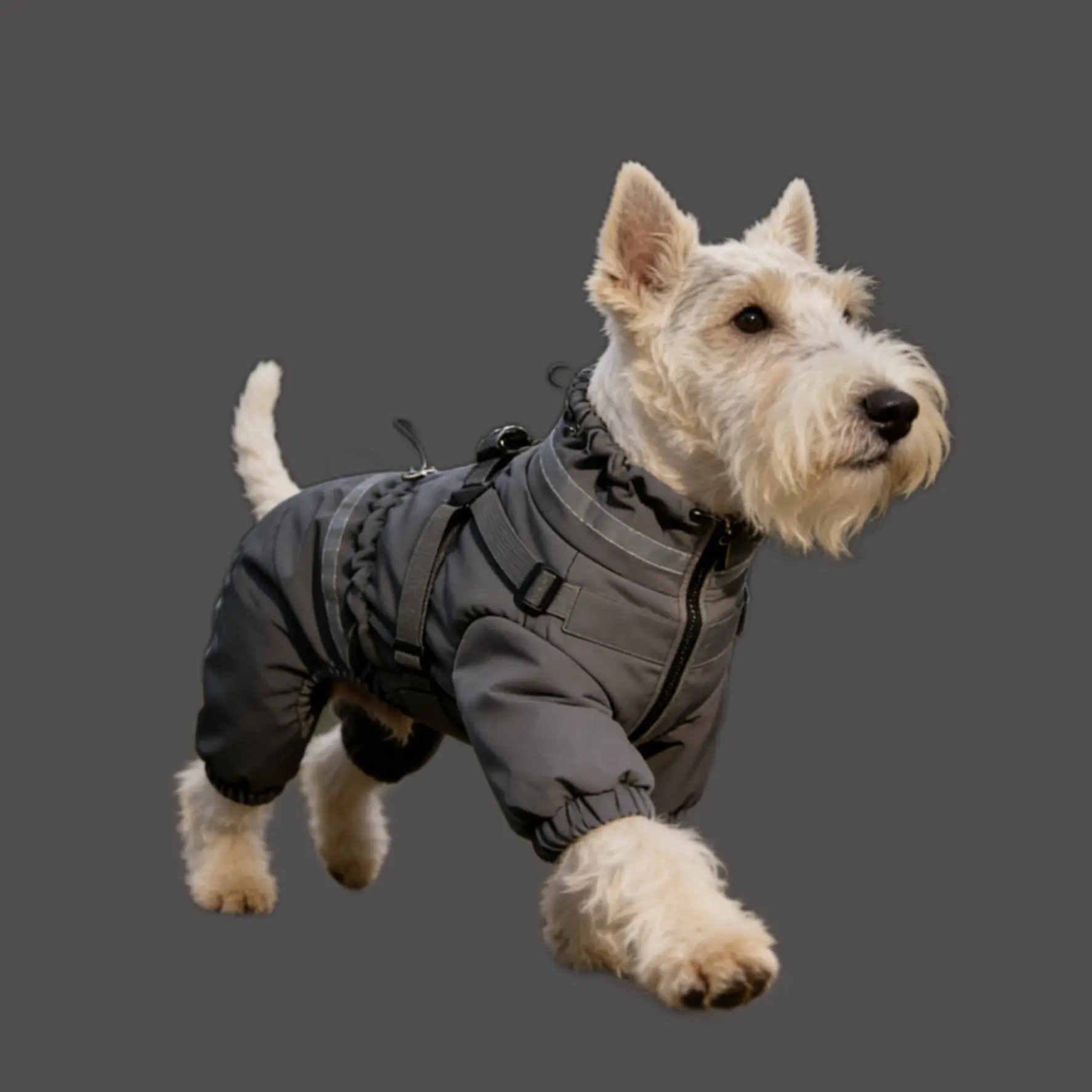 Dog wearing Deep grey Waterproof Pet Coat