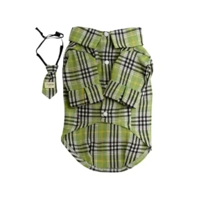 Front view of the double-breasted khaki trench coat for british style pet apparel