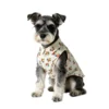 Schnauzer dog wearing Vibrant Summer Pet Clothes floral shirt