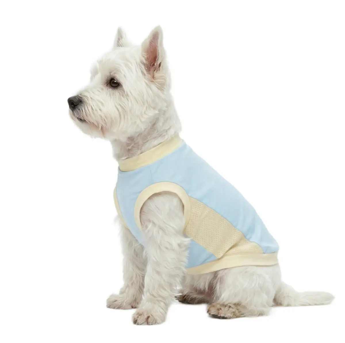 multi-color-pet-cooling-sunshirt-collection UV protective Dog Cooling Sunshirt with breathable side mesh