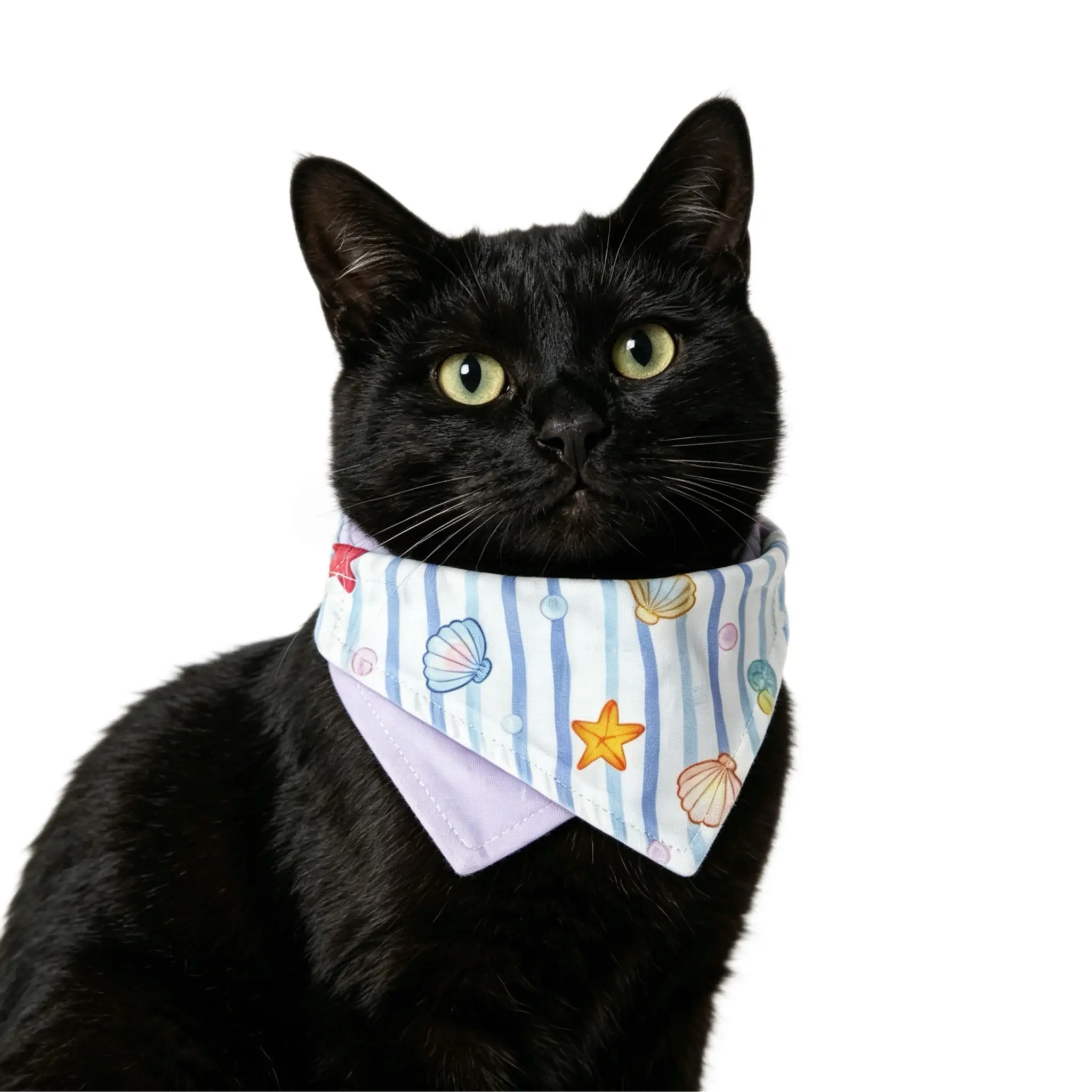black-cat-ocean-style-pet-summer-bandana A black cat wearing the ocean style pet summer bandana