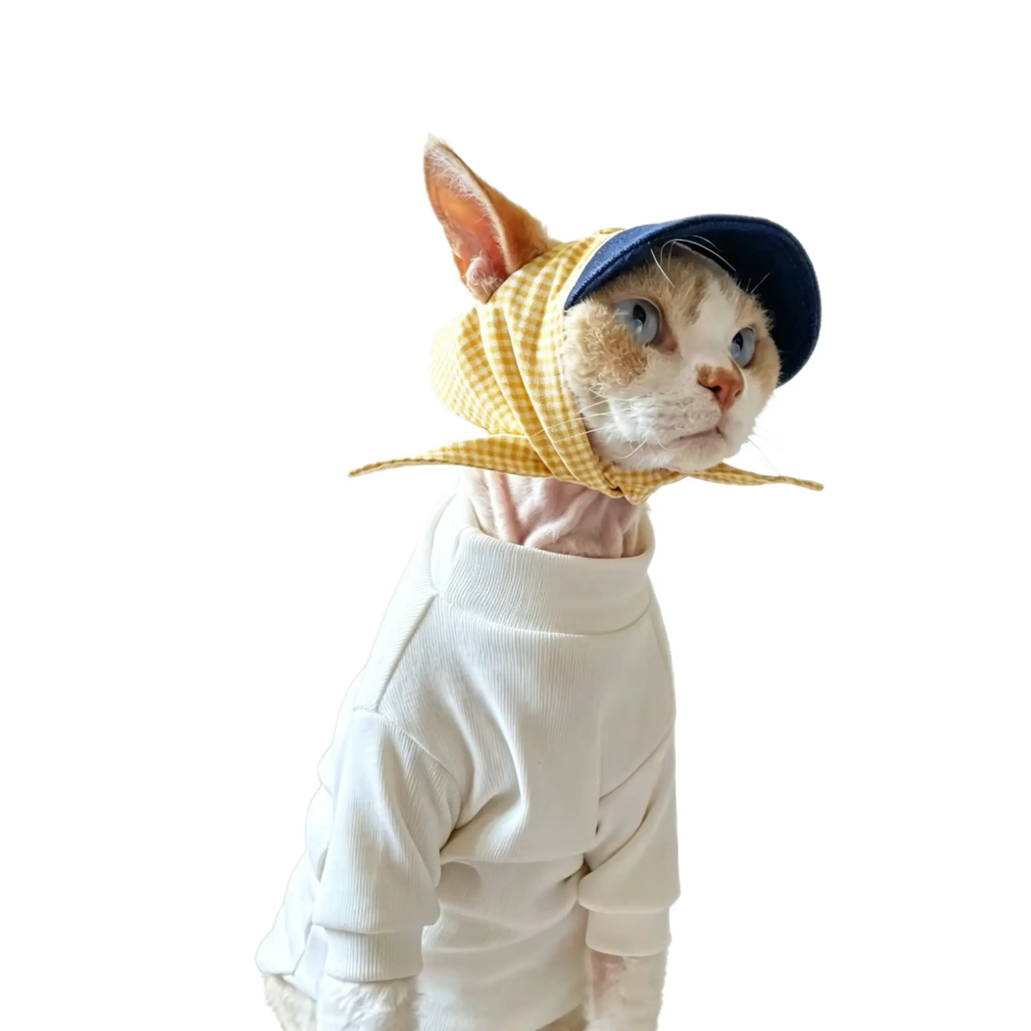 A Devon Rex cat models the yellow gingham pet summer bonnet