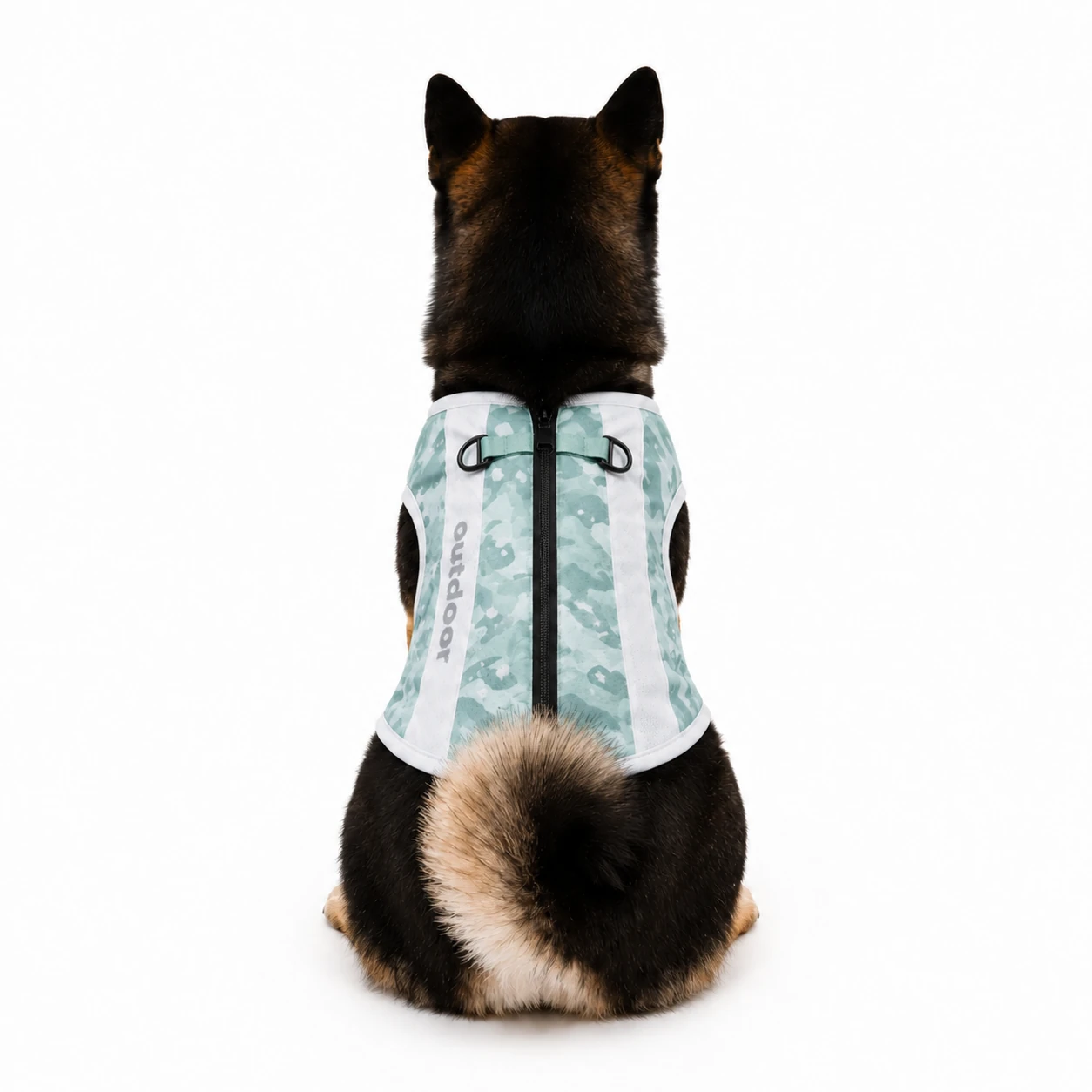 Black Shiba Inu wearing Hydro-Cooling Pro evaporative dog cooling vest, back view