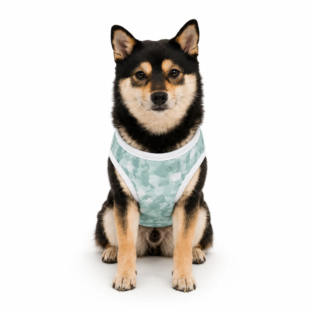 Shiba Inu wearing lightweight Hydro-Cooling Pro dog cooling vest, front view