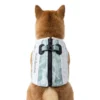 Back view of a Shiba Inu wearing a green camo evaporative dog cooling vest