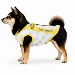 Small dog wearing yellow check outdoor vest with lightweight breathable fabric and harness attachment