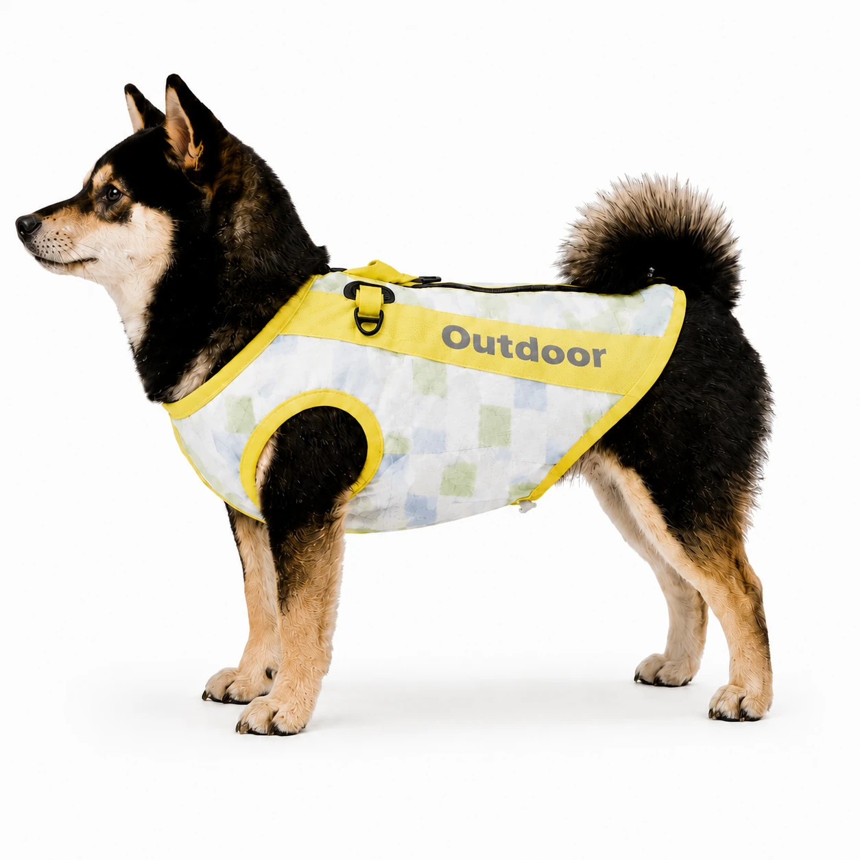 Small dog wearing yellow check outdoor vest with lightweight breathable fabric and harness attachment