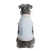 Back view of a Schnauzer wearing blue Instant-Cooling Dog Vest