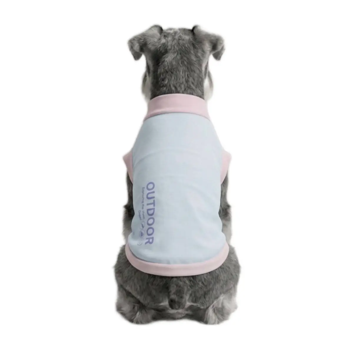 Back view of a Schnauzer wearing blue Instant-Cooling Dog Vest
