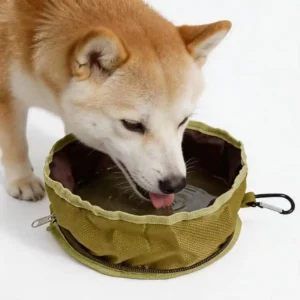 dog-eating-from-portable-collapsible-travel-dog-bowl Happy dog eating food from the Collapsible Travel Dog Bowl outdoors
