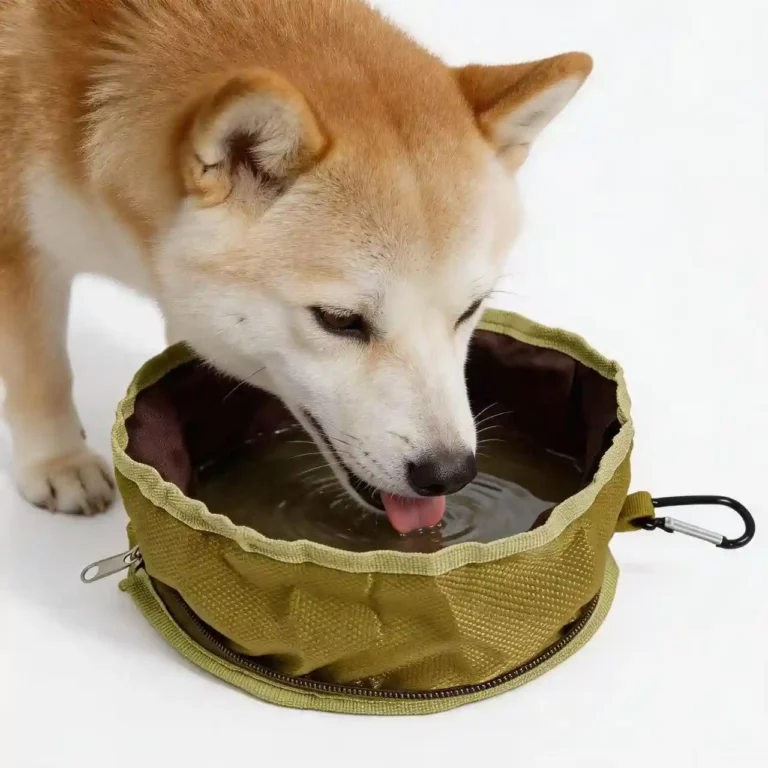 Happy dog eating food from the Collapsible Travel Dog Bowl outdoors
