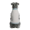 Back view of a Schnauzer wearing gray Instant-Cooling Dog Vest