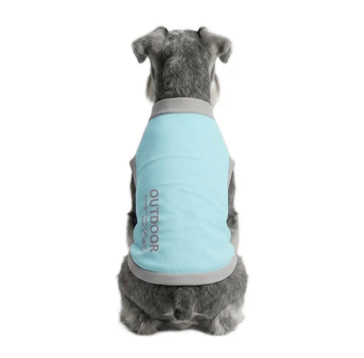 Back view of a Schnauzer wearing green Instant-Cooling Dog Vest
