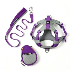 Purple functional dog harnesses and leashes set with custom pouch