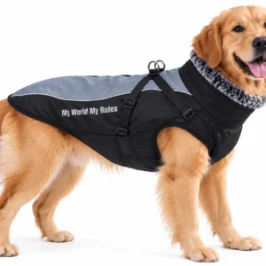 Golden Retriever wearing Meteor Gray reflective winter dog jacket